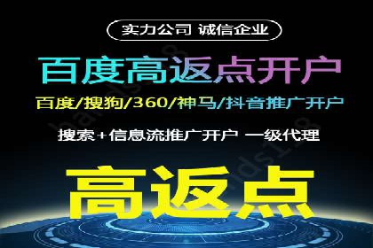SEM主管实战：数据分析与策略调整